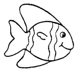 Fish CS2322