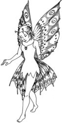 Fairy D5416