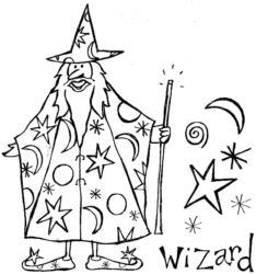 Large Wizard D5420