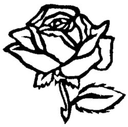 Flower Rose K3838
