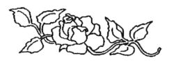 Rose flower K3841