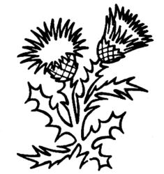 Flower - Thistle K3907