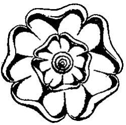 Flower Lancashire Rose K3945