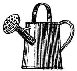 Large Watering can N4472