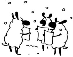 Carol singing sheep R3502