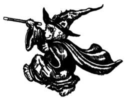 Bear wizard R3558