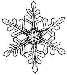 Snowflake R4813