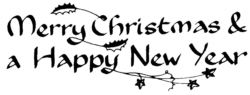 Merry Christmas and a Happy new year R4827