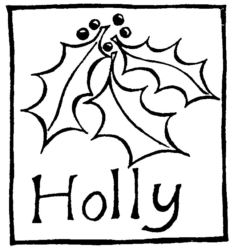 Holly R4854