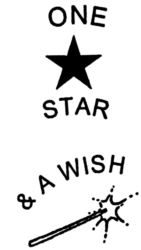 One Star and a Wish TM156