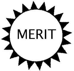 Merit TM21