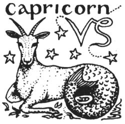 ZODIAC - Capricorn Z12