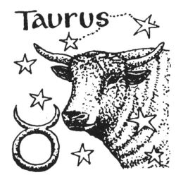 ZODIAC - Taurus Z4