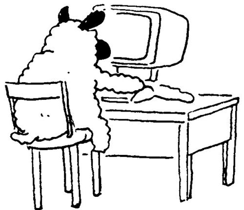 Sheep at computer