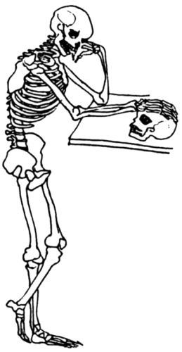Skeleton thinking above a skull